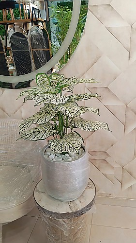 Plante Artificielle Monstera Blanche Pot Céramique 85 CM